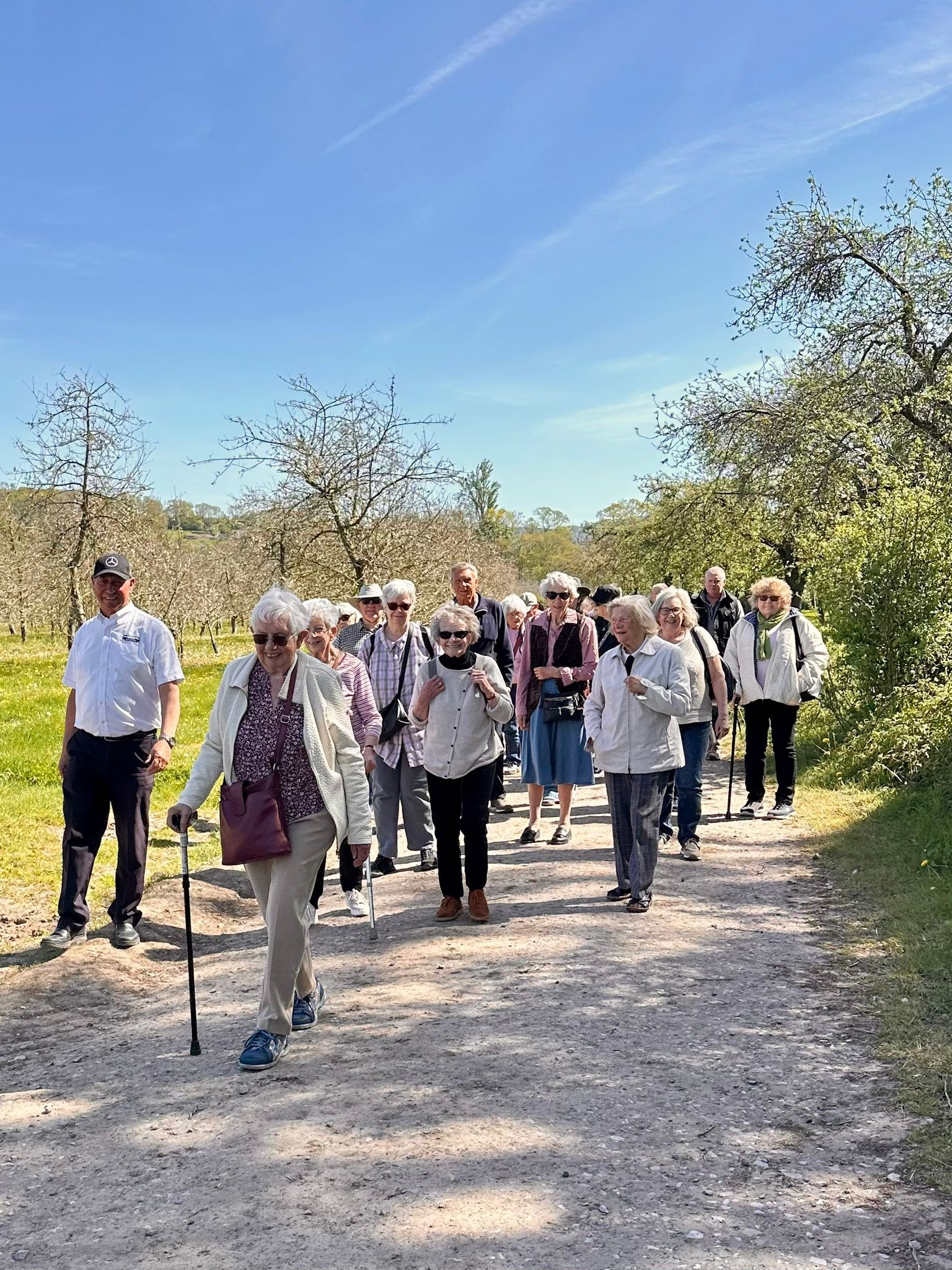A visiting group walking the orchard lane in spring sunshine