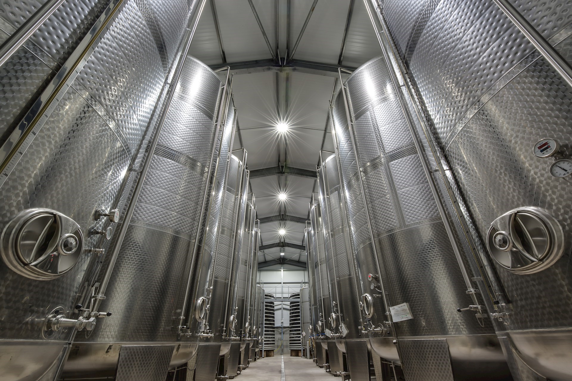 The vat house at Three Bridges Farm: rows of tall dimpled steel vats